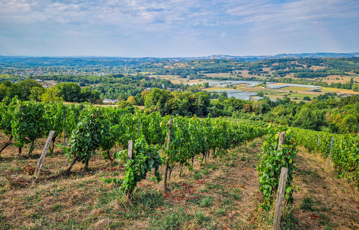 vignobles_correze